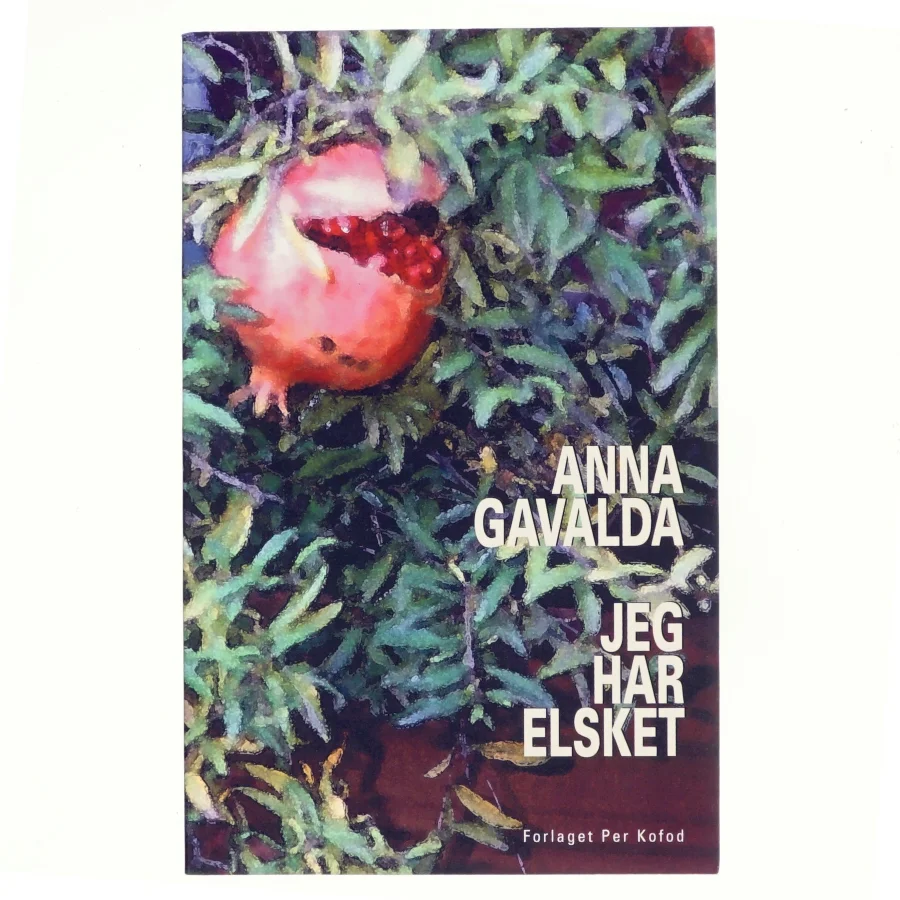 Jeg har elsket af Anna Gavalda (Bog)