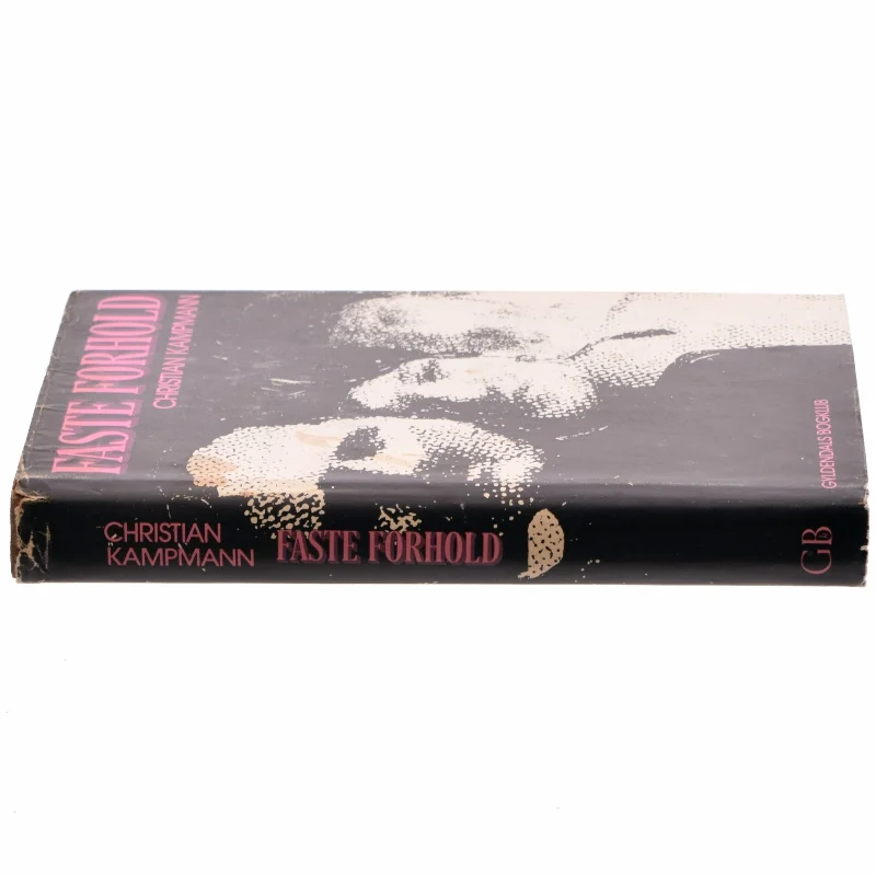 Faste forhold af Christian Kampmann (Bog)