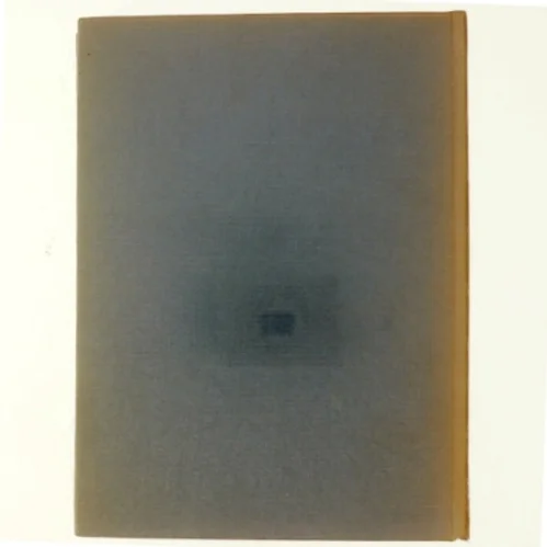 Danmark Gyldendals Egnsbeskrivelse Bind 8: Østylland (Bog)