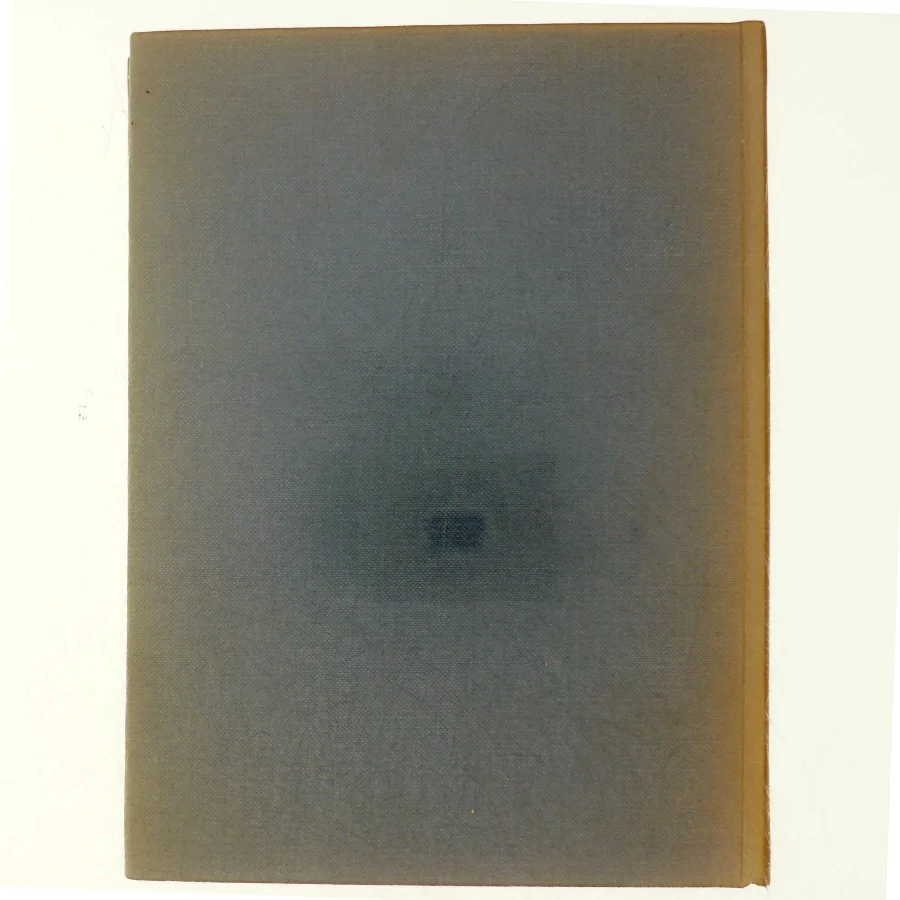 Danmark Gyldendals Egnsbeskrivelse Bind 8: Østylland (Bog)