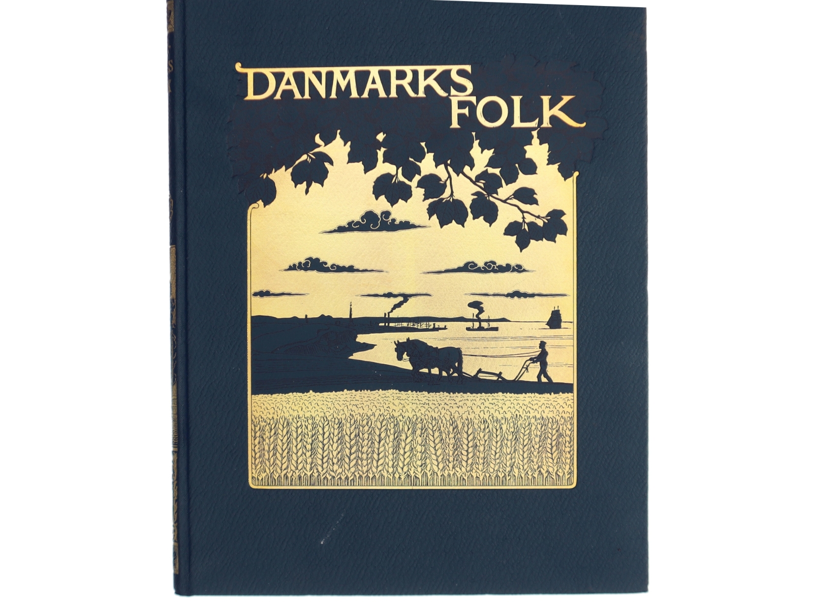 Danmarks Folk (Bog)