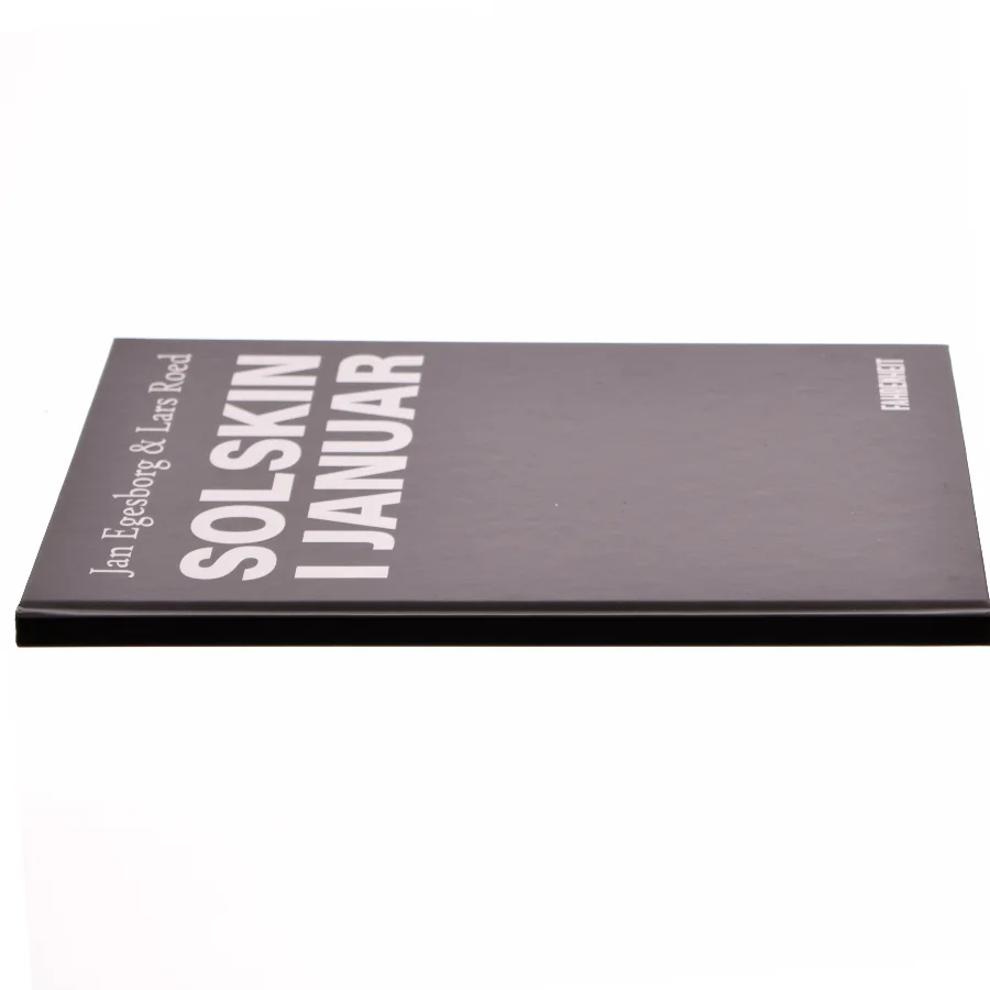 Solskin i januar af Jan Egesborg (Bog)