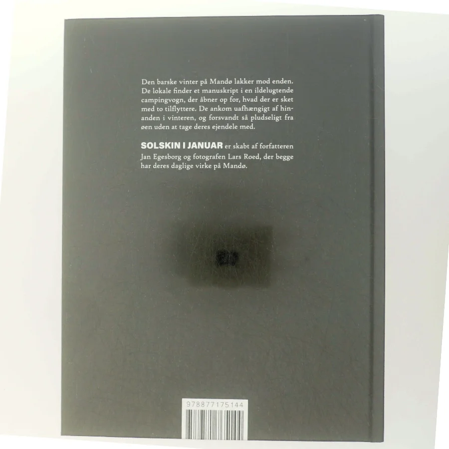 Solskin i januar af Jan Egesborg (Bog)