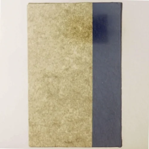 Her går det godt af Finn Søebrg (Bog)