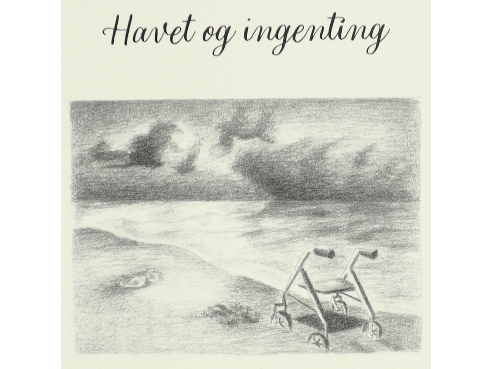 Havet og ingenting af Claus Grymer (Bog)