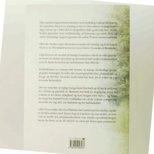 Ro til at være : Natur- og Musikbørnehaven Lille-Gryn af Ida Gro Hansen (Bog)