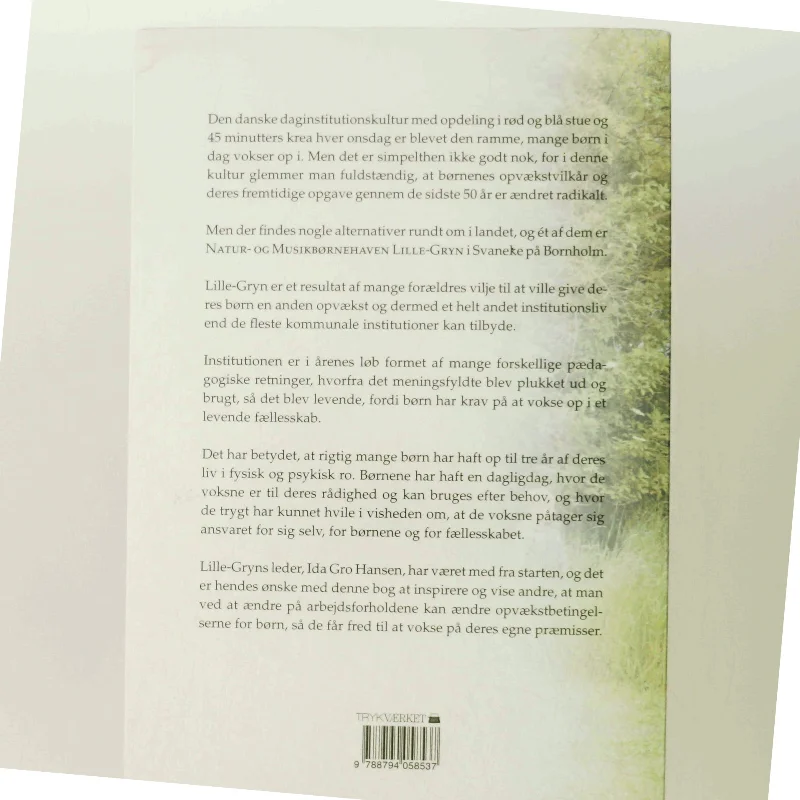 Ro til at være : Natur- og Musikbørnehaven Lille-Gryn af Ida Gro Hansen (Bog)