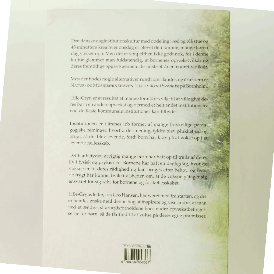 Ro til at være : Natur- og Musikbørnehaven Lille-Gryn af Ida Gro Hansen (Bog)