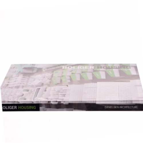 Boliger / Housing af Danielsen Architects (bog)