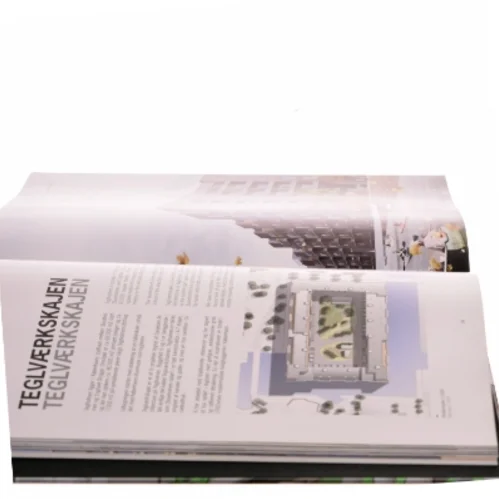 Boliger / Housing af Danielsen Architects (bog)