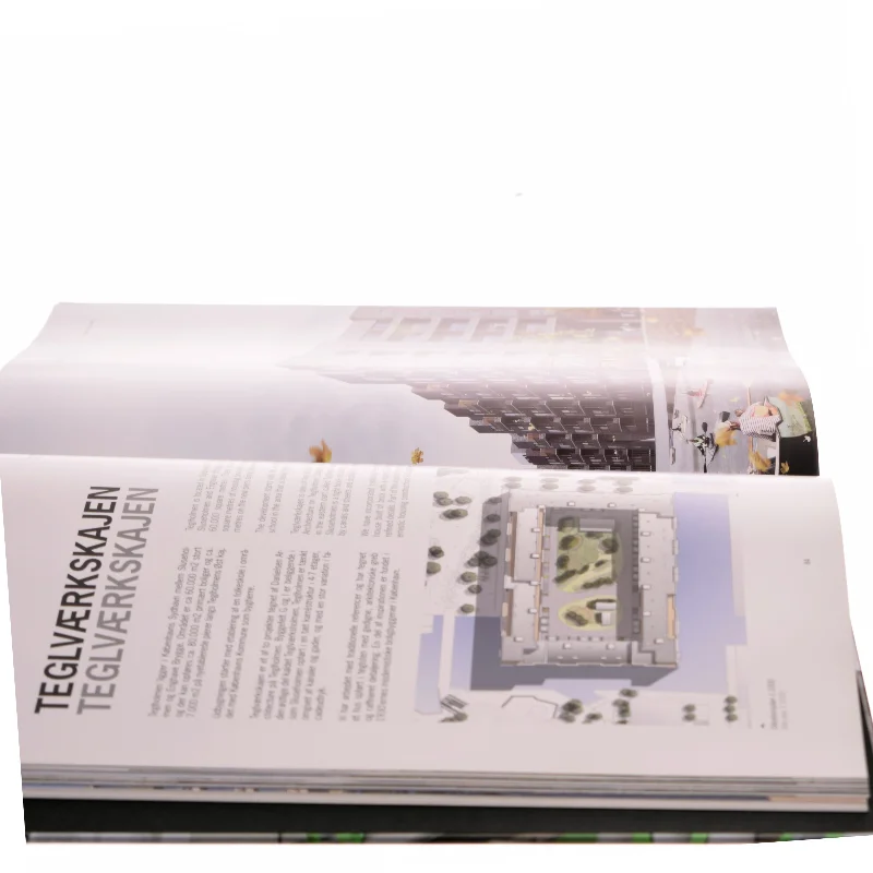 Boliger / Housing af Danielsen Architects (bog)