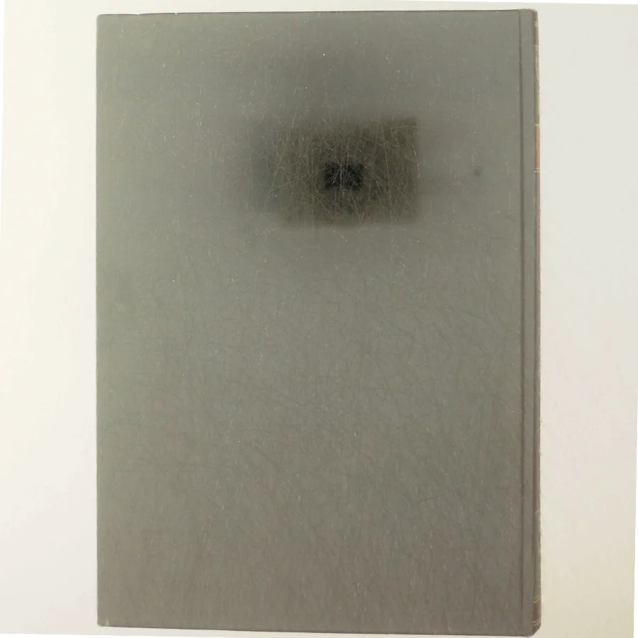 ROmaner Noveller Skuespil af Gustav Wied (Bog)