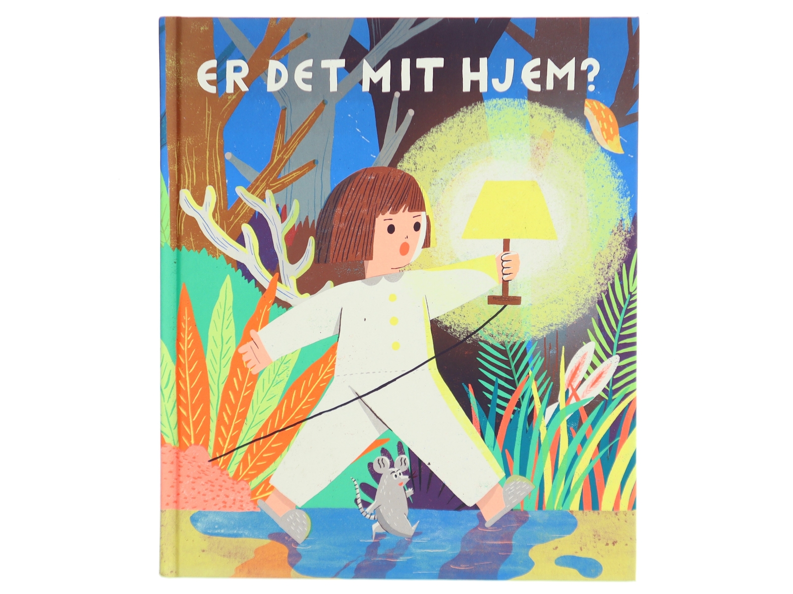 Illustreret børnebog