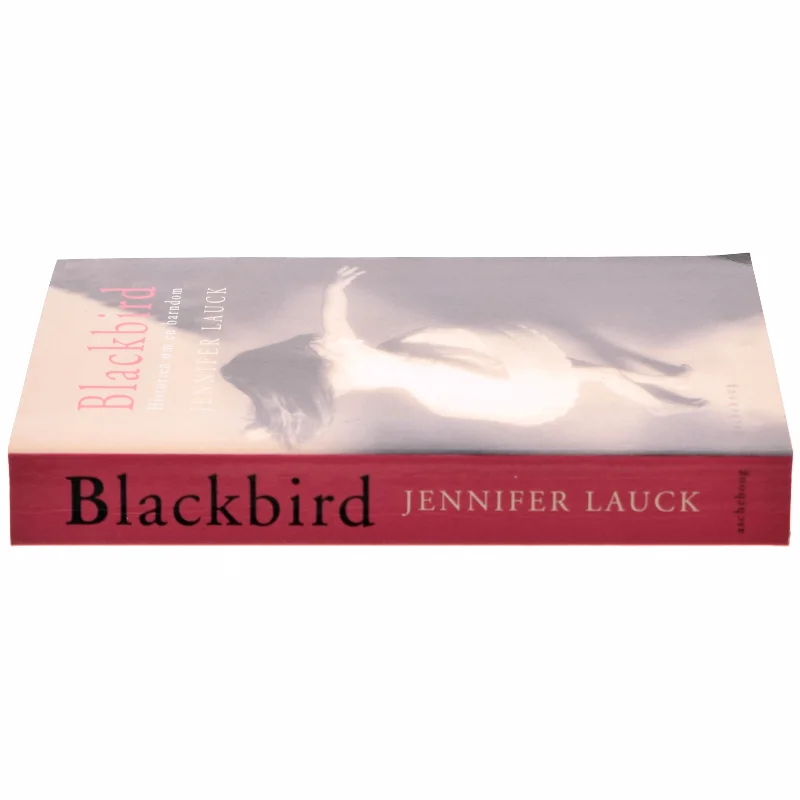Blackbird : historien om en barndom af Jennifer Lauck (Bog)
