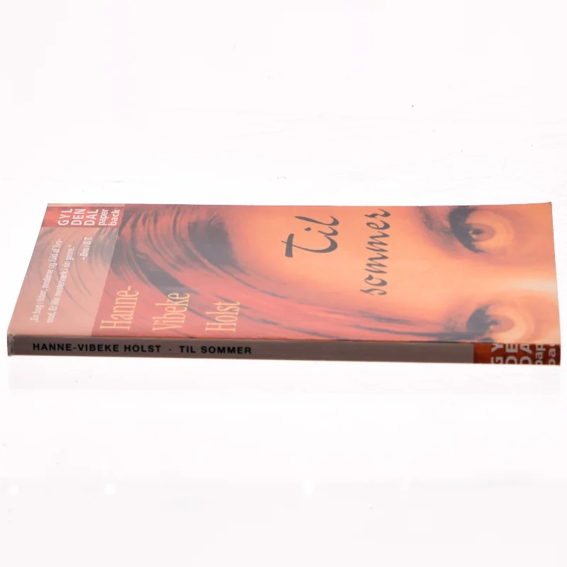 Til sommer af Hanne-Vibeke Holst (Bog)