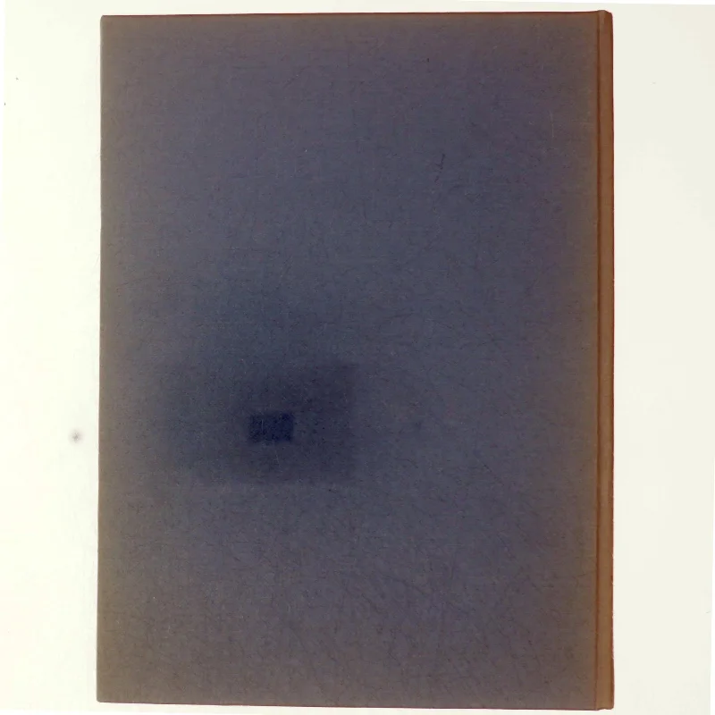 DANMARK Gyldendals Egnsbsekrivelser Bind 10: Vestjylland