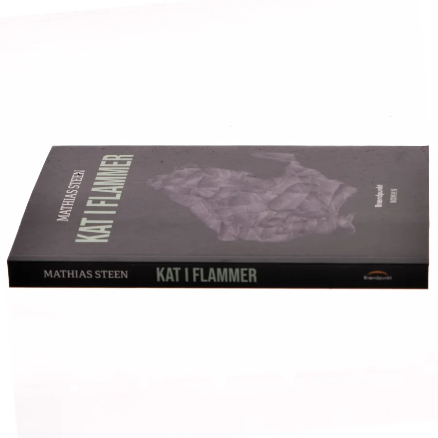 Kat i flammer : roman af Mathias Steen Hansen (f. 1992) (Bog)