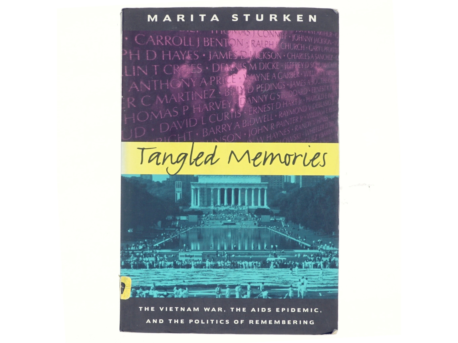 Tangled memories : the Vietnam War, the AIDS epidemic, and the politics of remembering af Marita Sturken (1957-) (Bog)