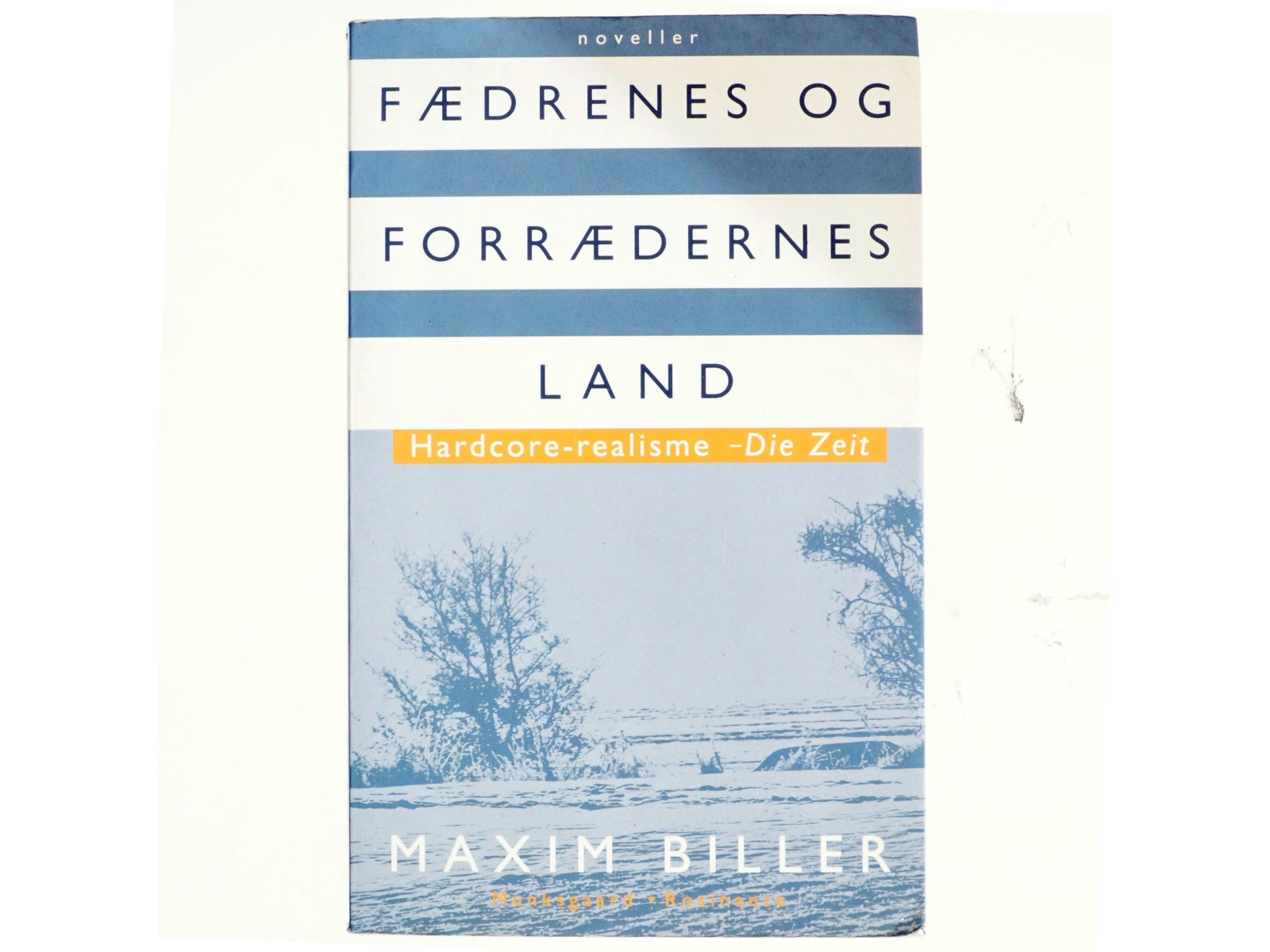 Verdens ende : roman af Jytte Borberg (Bog)