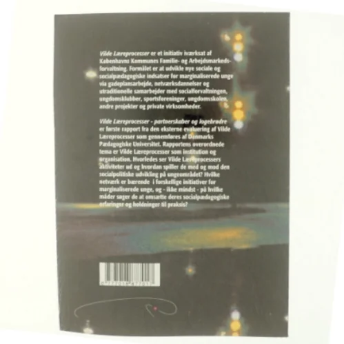 Vilde læreprocesser - partnerskaber og logebrødre 