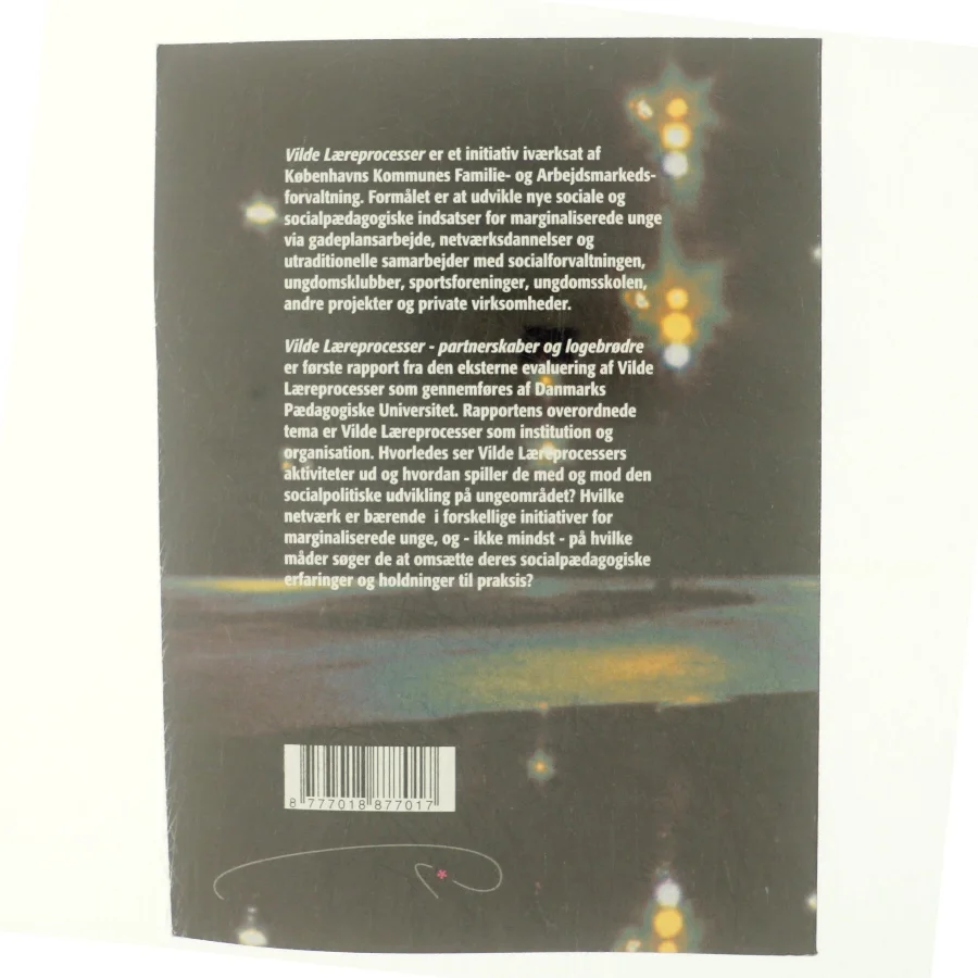 Vilde læreprocesser - partnerskaber og logebrødre 