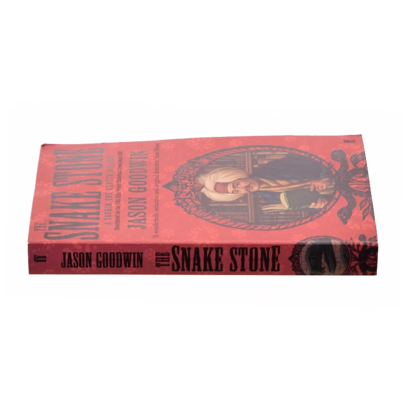The snake stone af Jason Goodwin (Bog)