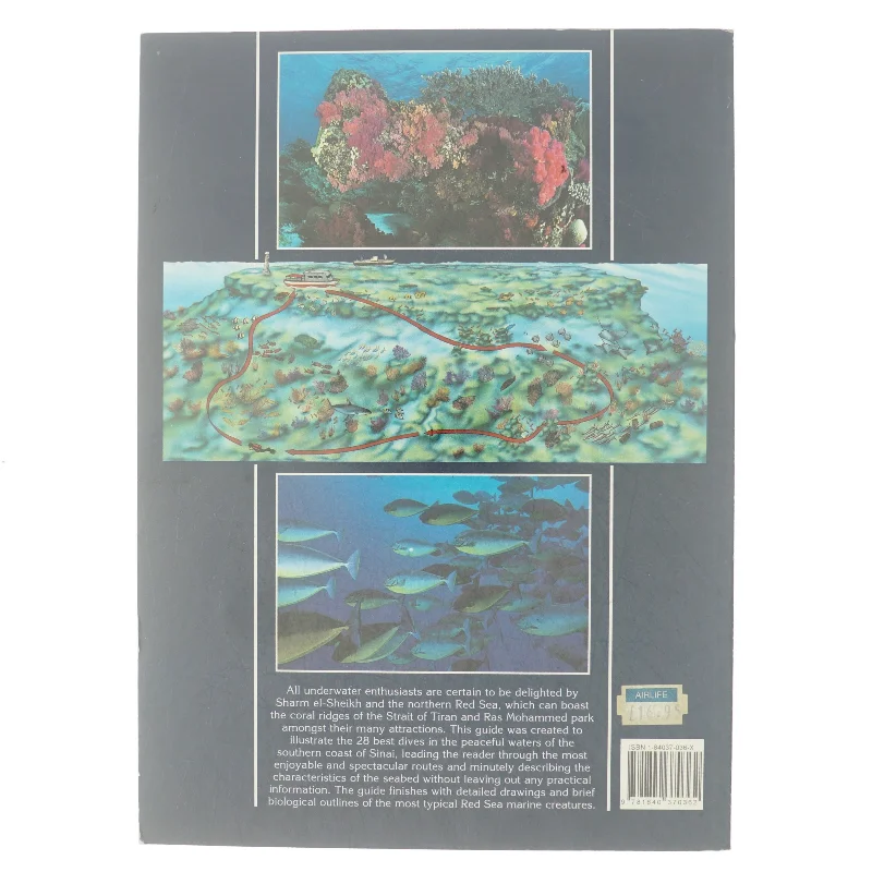 Sharm-el-Sheik af Claudio Cangini (Bog)