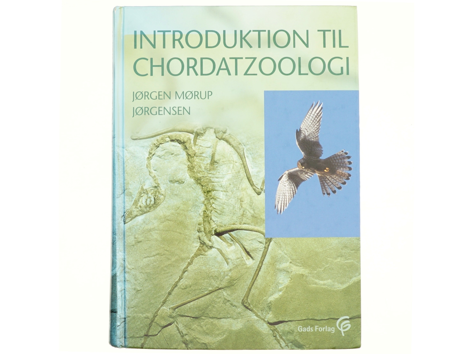 Introduktion til chordatzoologi af Jørgen Mørup Jørgensen (Bog)