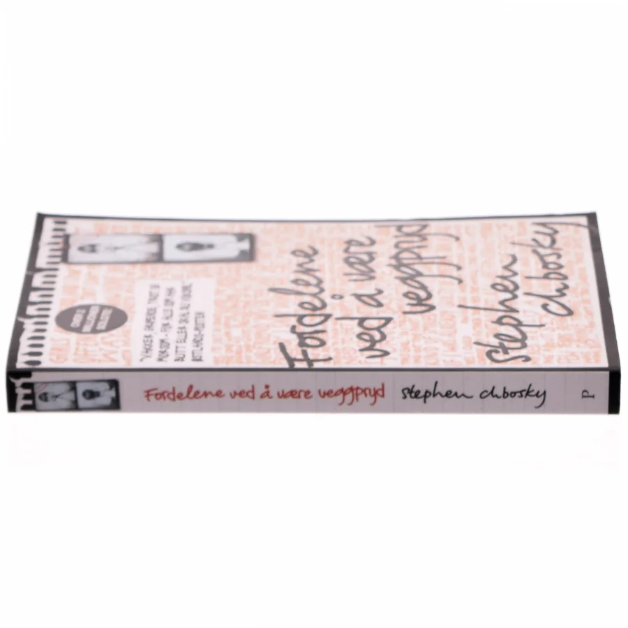 Fordelene ved å være veggpryd af Stephen Chobosky