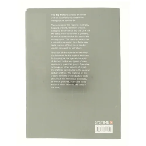 The big picture (Bog)