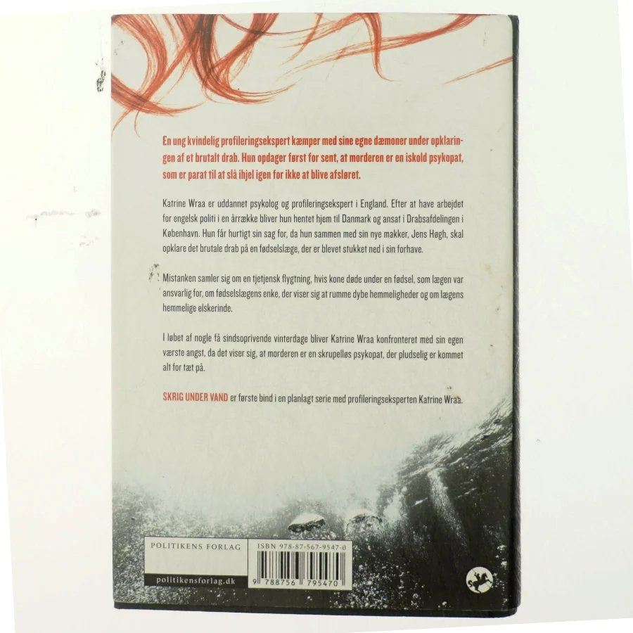 Am Ende Eines Sommers, Roman,, Aus Dem Englischen Von Rainer Schmidt (Bog)