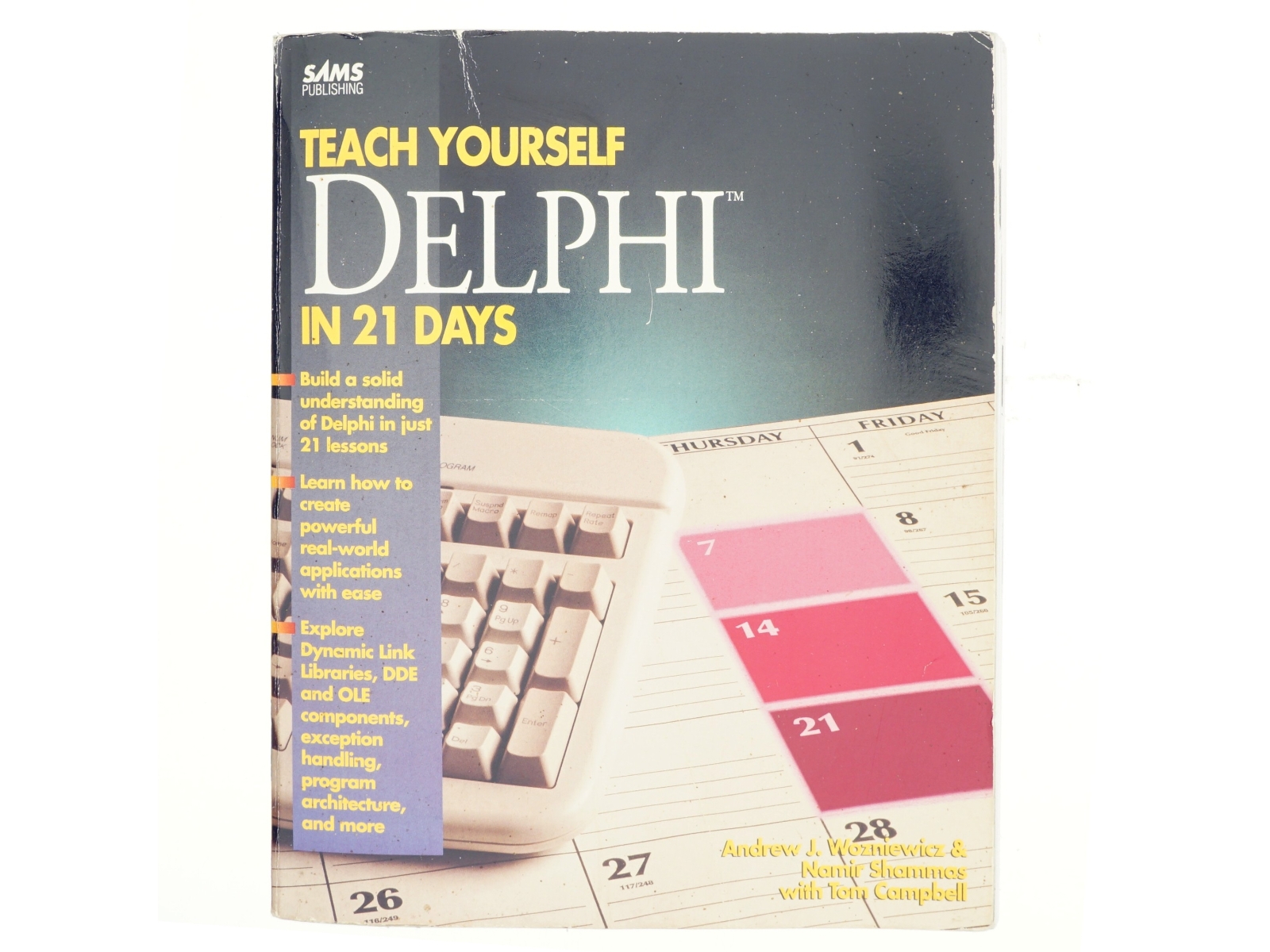 Teach yourself Borland Delphi in 21 days (Bog)