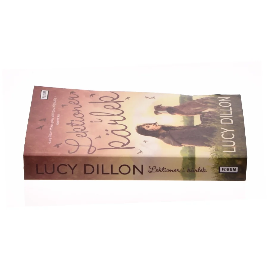 Lektionen i kärlek af Lucy Dillon (bog)