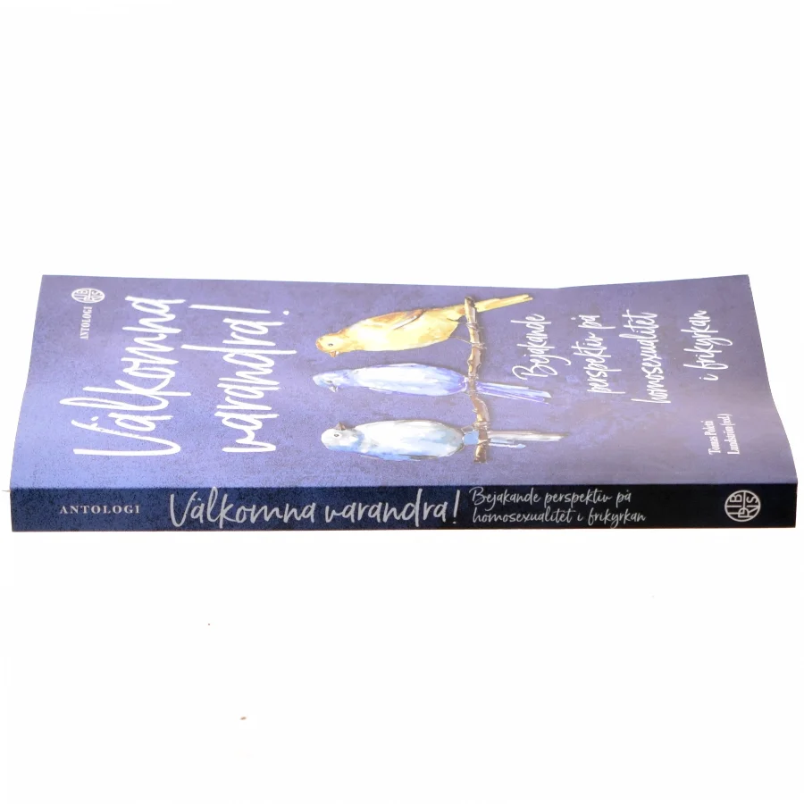 Välkomna varandra! af Tomas Poletti