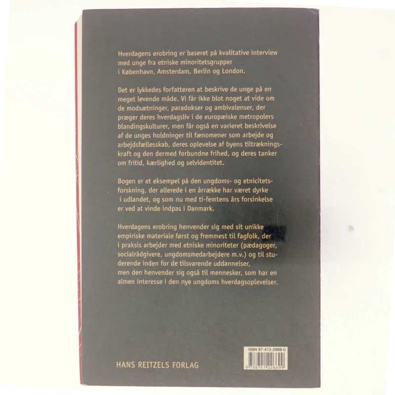 Hverdagens erobring af Üzeyir Tireli (Bog)