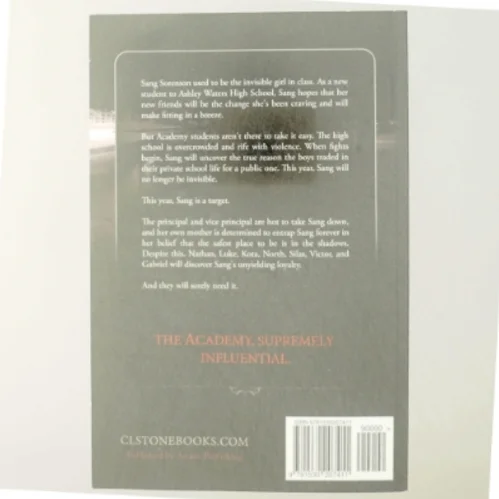 First Days - Collector's Edition af C. L. Stone (Bog)