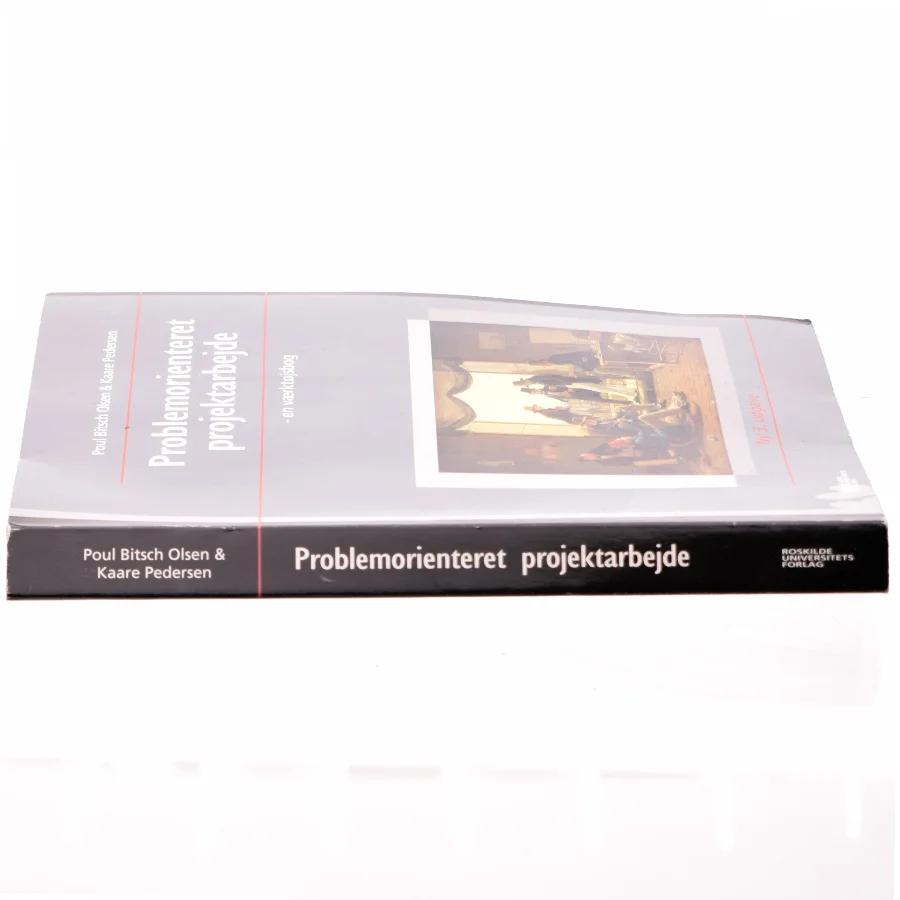 Problemorienteret projektarbejde af Poul Bitsch Olsen, Kaare Pedersen (Bog)