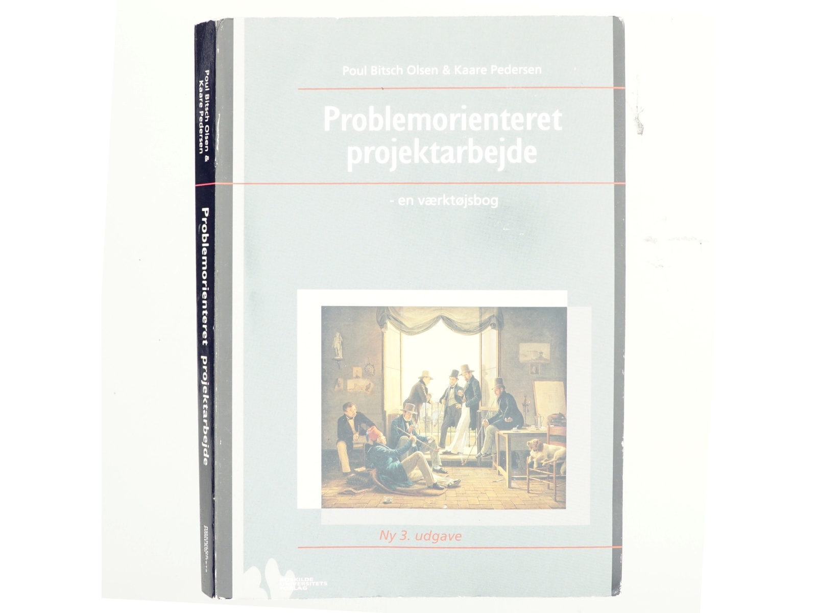 Problemorienteret projektarbejde af Poul Bitsch Olsen, Kaare Pedersen (Bog)