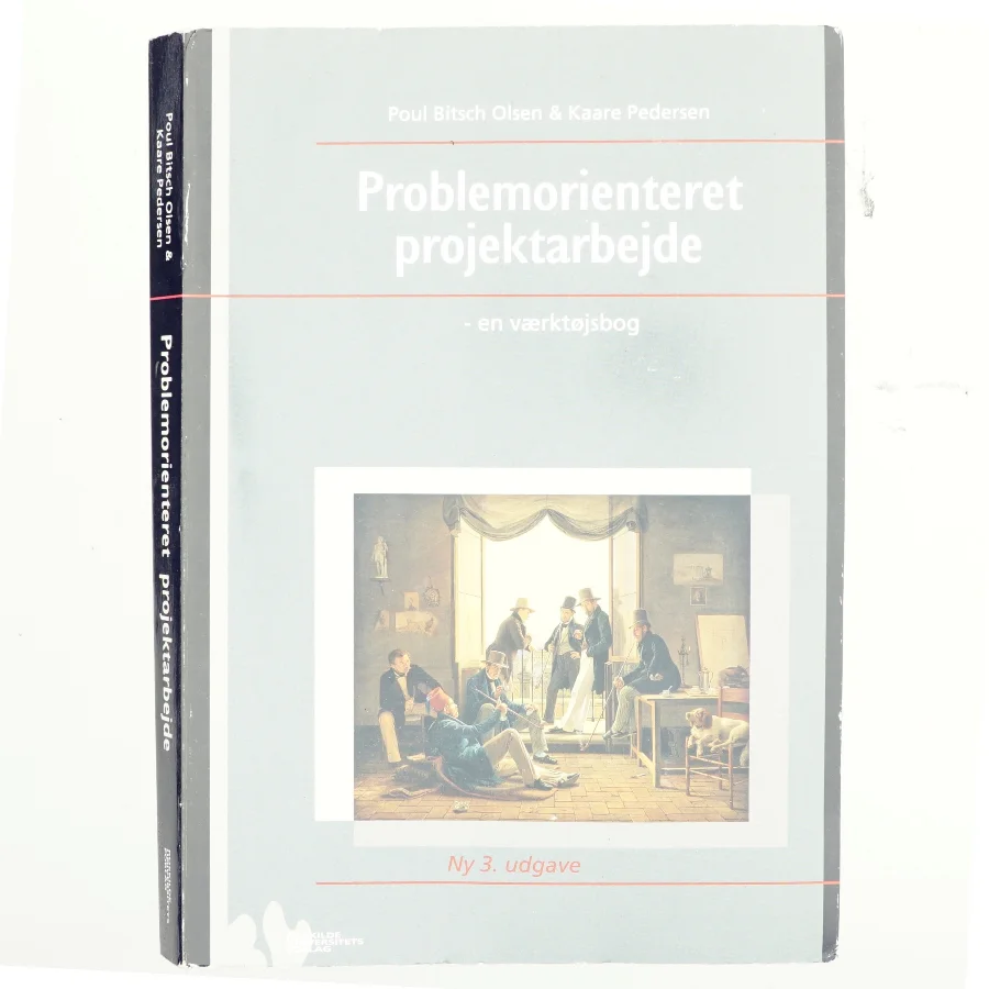 Problemorienteret projektarbejde af Poul Bitsch Olsen, Kaare Pedersen (Bog)