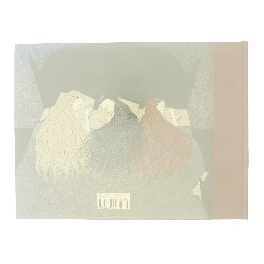 The three incestuous sisters af Audrey Niffenegger (Bog)