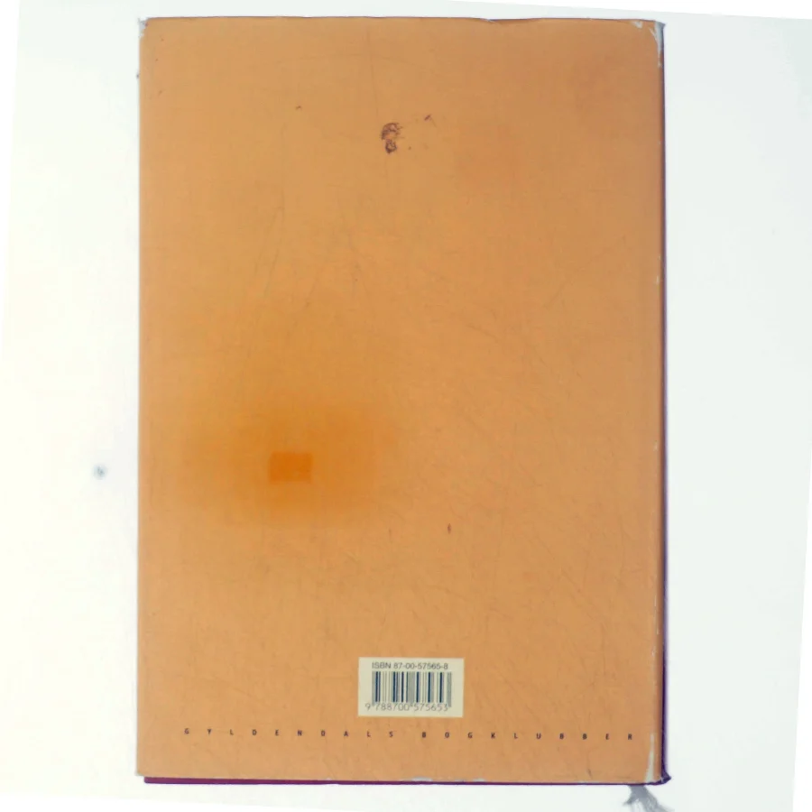 En passende ung mand af Vikram Seth (Bog)