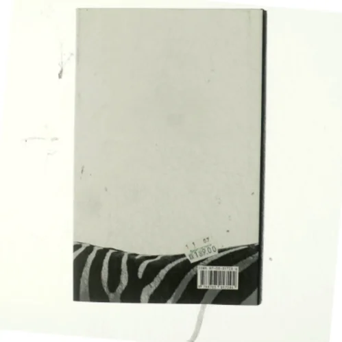 Den gode tolk af John Le Carré