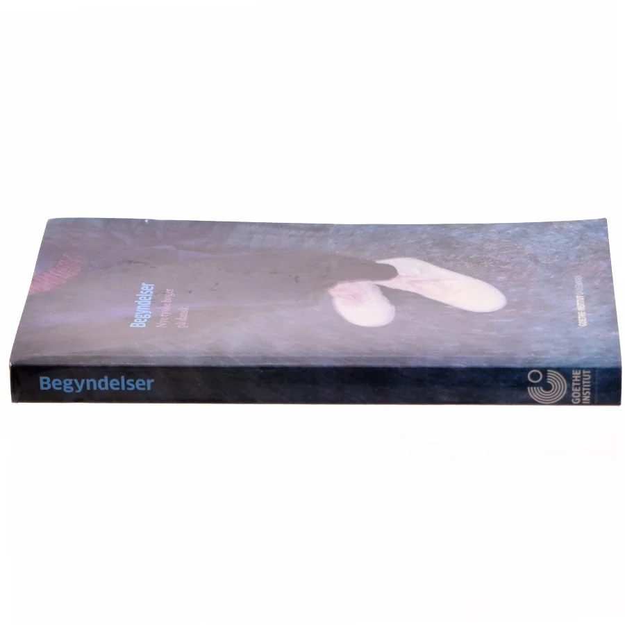 Begyndelser : nye tyske bøger på dansk, 2010-2013 (Bog)