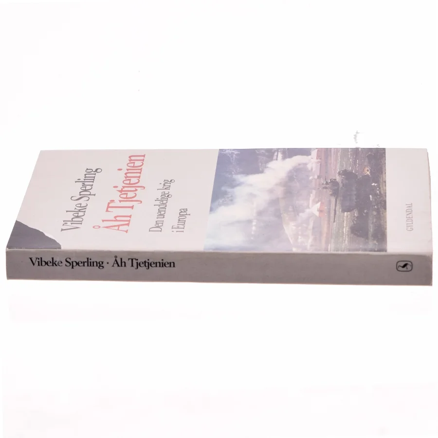 Åh Tjetjenien : den uendelige krig i Europa af Vibeke Sperling (Bog)