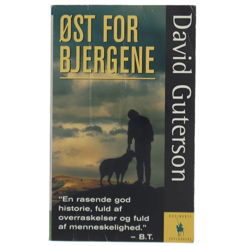 Øst for bjergene : roman af David Guterson (Bog)