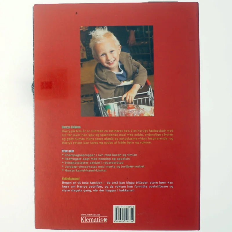 Harrys køkken : madlavning i børnehøjde af Carsten Kyster (Bog)