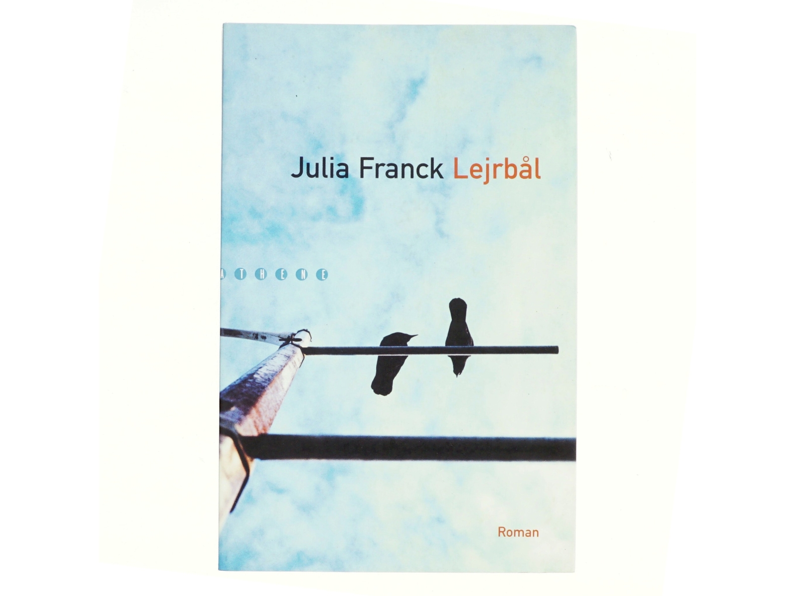 Lejrbål : roman af Julia Franck (Bog)
