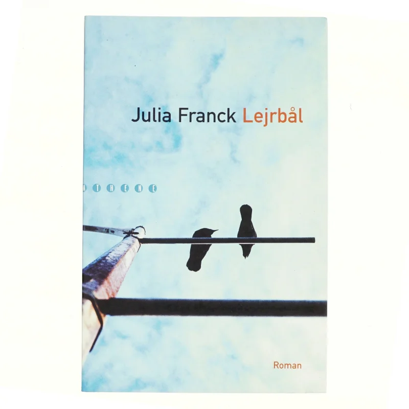 Lejrbål : roman af Julia Franck (Bog)