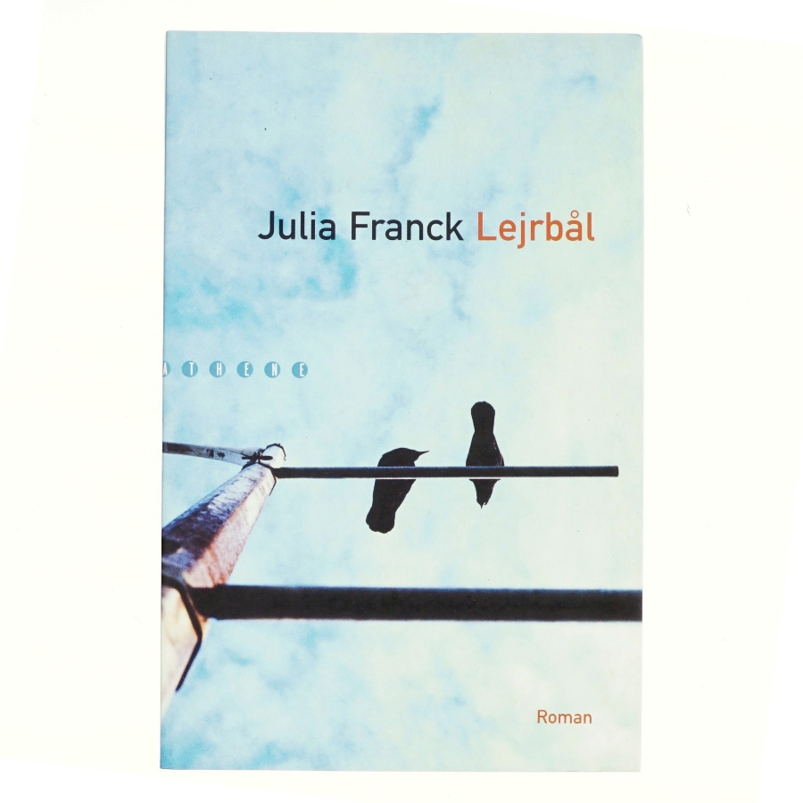 Lejrbål : roman af Julia Franck (Bog)