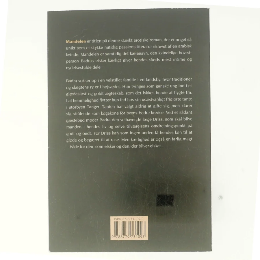 Mandelen af Nedjma (Bog)